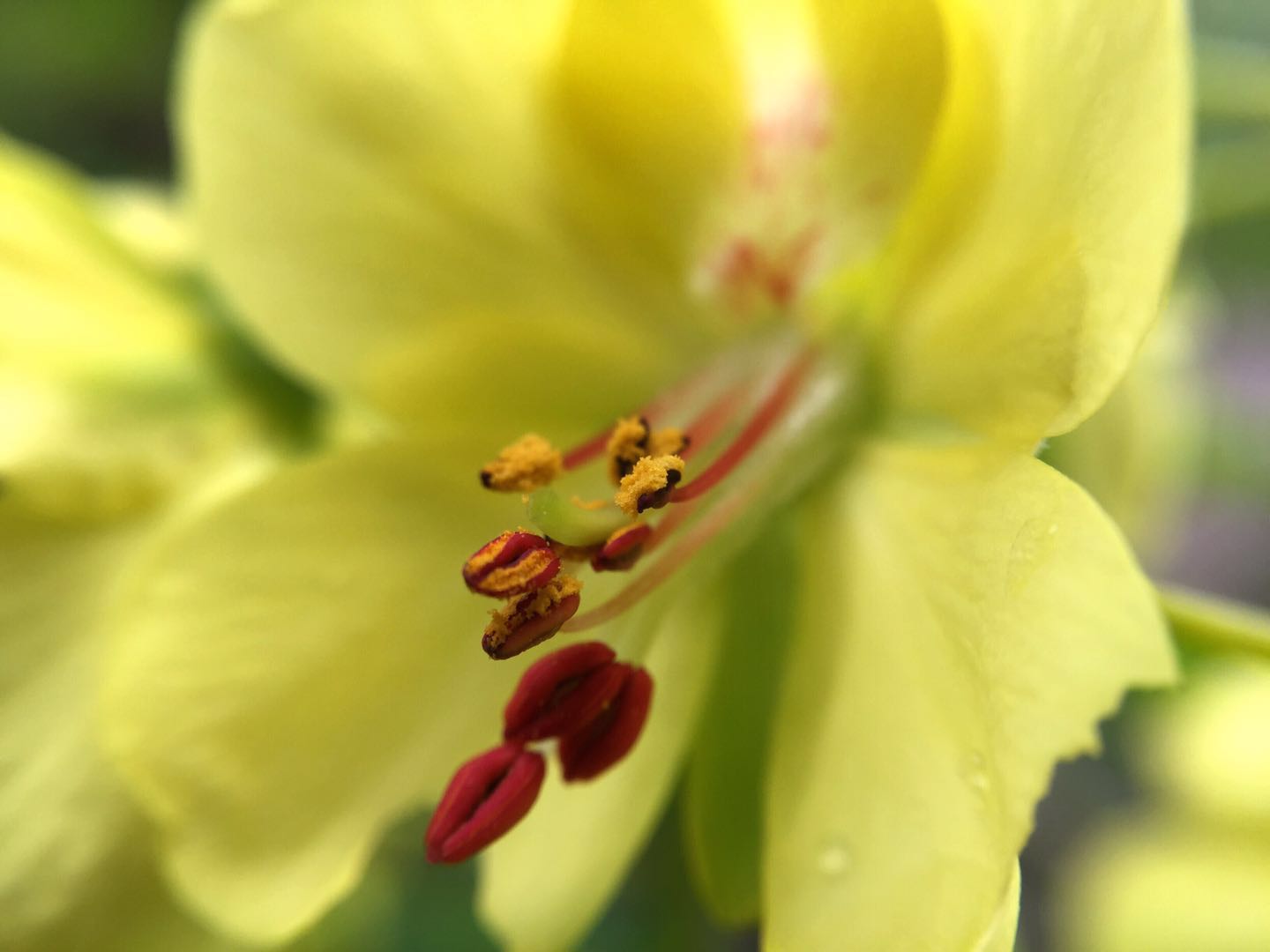 星空官网_确认过眼神 欧冠4强没有大礼包 半决赛不设种子队(图2) 星空官网